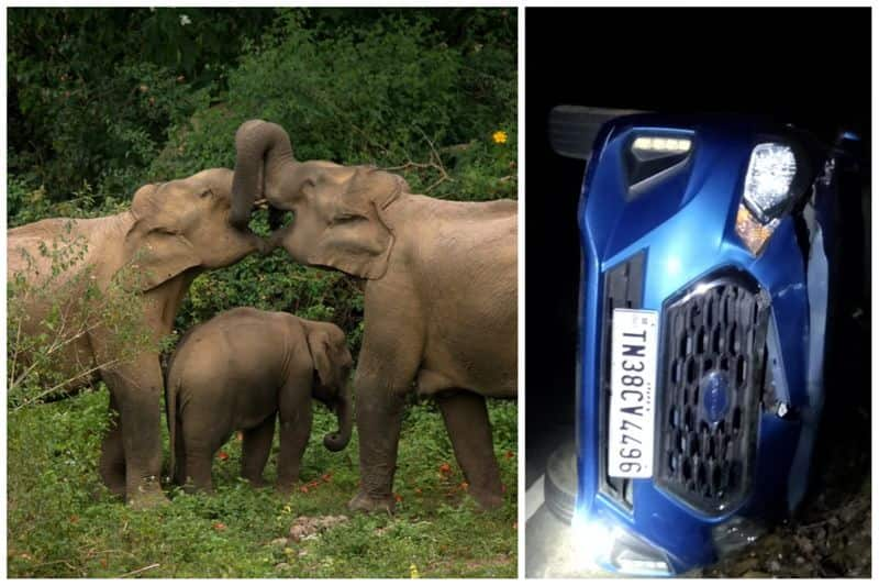 forest elephants attack car in mettupalayam in coimbatore vel