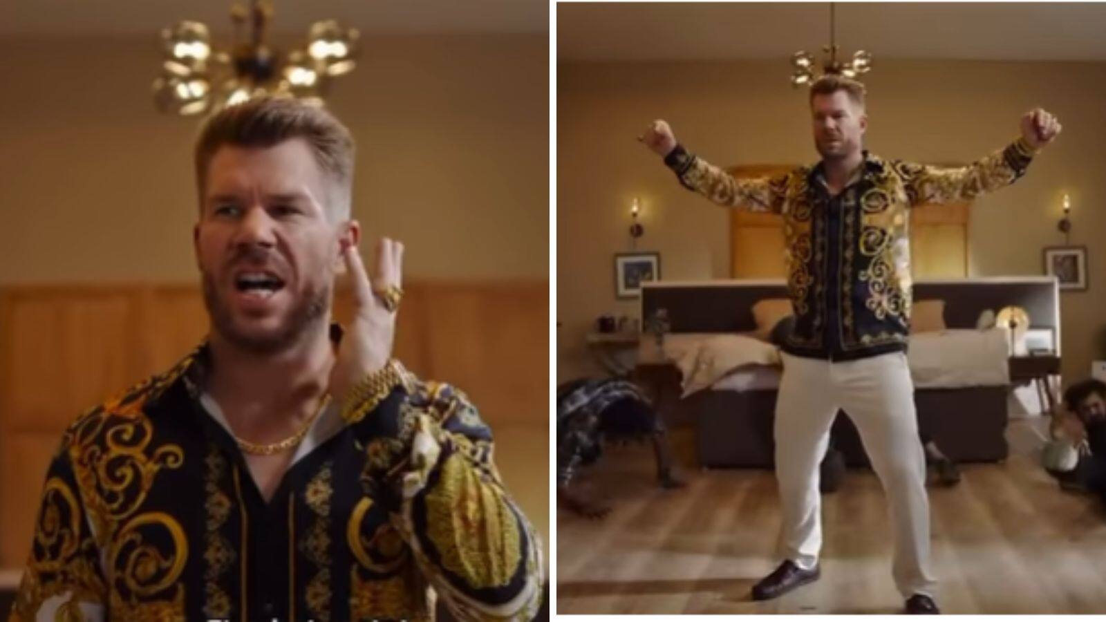 David Warner Ad Puspharaj character