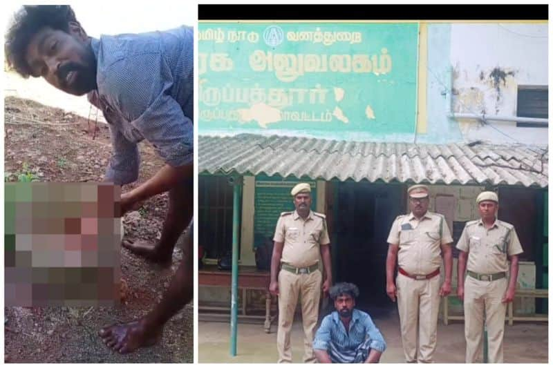 youngman arrested who brutally killed and ate snake in tirupathur district vel