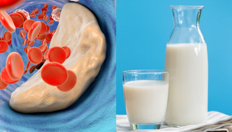 best milk options to lower bad cholesterol