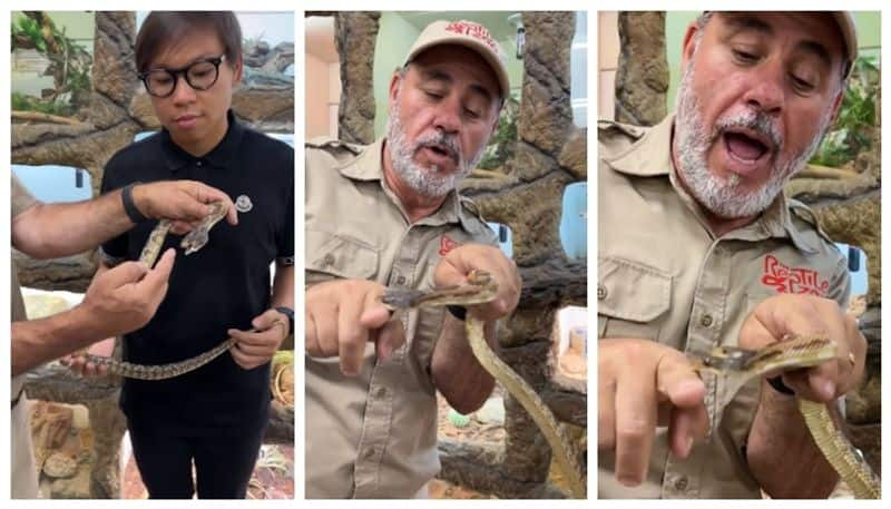 zoo employee is bitten while introducing a two-headed snake in front of visitors