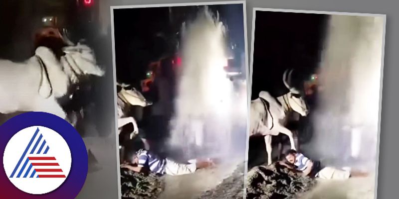 Family seek Blessings from Gau mata after borewell found enough water Video goes vrial ckm