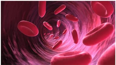 8 Foods to Increase Hemoglobin Levels and Prevent Anemia 8 Foods to Increase Hemoglobin Levels and Prevent Anemia