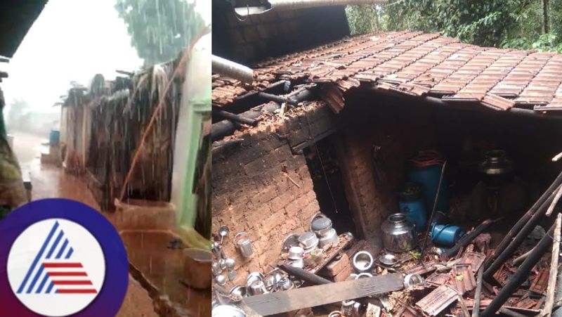 Monsoon 2024 A huge tree uproot on the woman in kalasa at chikkamaglauru rav