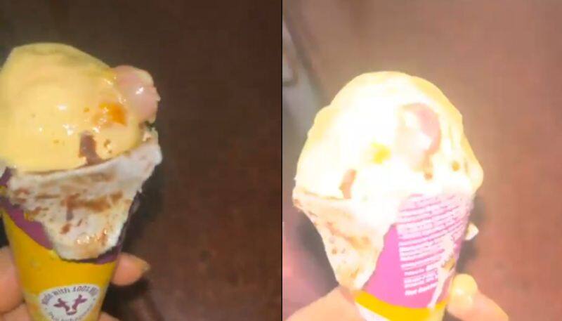 Shocking! Mumbai Resident Shocked to Find Human Finger in Ice Cream Ordered Online [WATCH] NTI