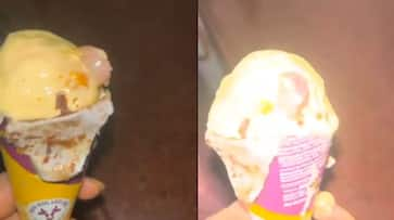 Shocking! Mumbai Resident Shocked to Find Human Finger in Ice Cream Ordered Online [WATCH] NTI