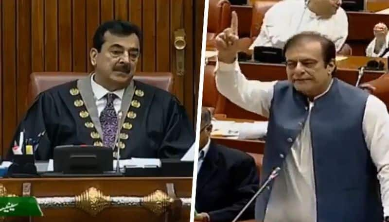 Pak Opposition leader Shibli Faraz lauds India's efficient, transparent electoral process; WATCH viral video