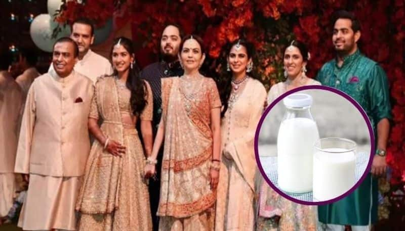 Mukesh Ambani Nita Ambani's family drinks milk of Netherlands Holstein-Friesian cow breed gow