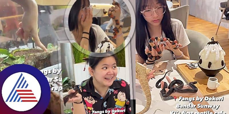 Dine with Serpents: Malaysia's Fangs by Dekori Cafe Offers a Wild Encounter roo