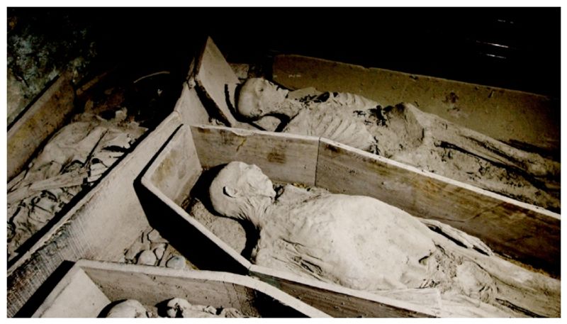 ancient mummies are destroyed in the Dublin Crypt fire