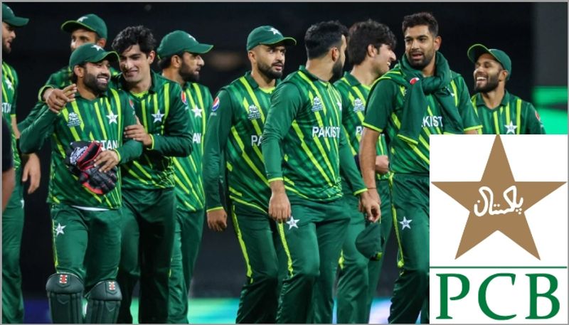 cricket 'Pakistan play for money, should be welcomed with garland of shoes': Disgruntled fan after T20 WC exit (WATCH) osf