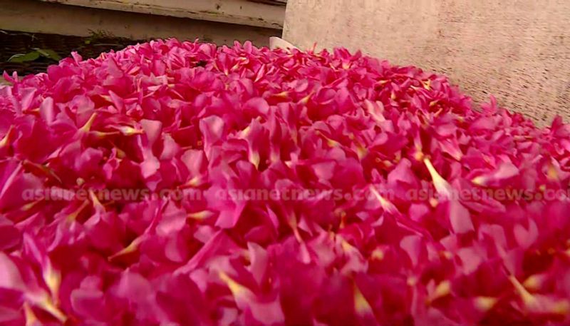 two kids doubtfully are oleander flower hospitalised