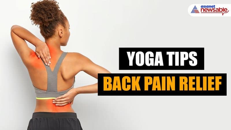 do this simple asanas and say goodbye to back pain