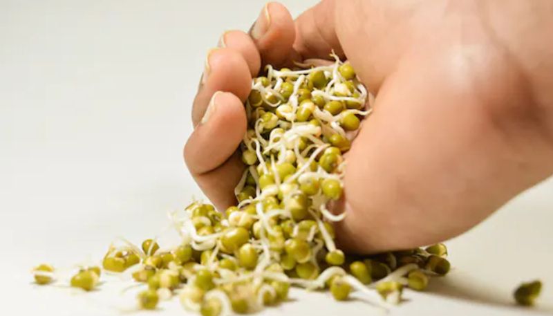 amazing benefits of sprouts