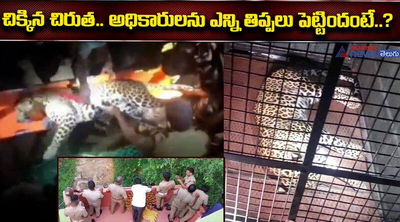 Tirupattur sensational leopard! How did you get caught after 10 hours of struggle