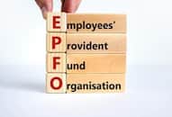 EPFO New Certificate EPFO members will not face any problem in changing jobs through this certificate details here XSMN
