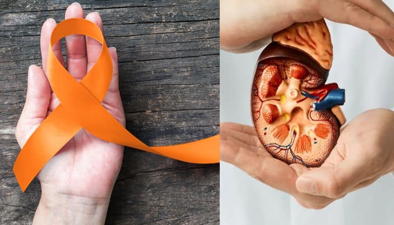 World kidney cancer day risk factors and symptoms of kidney cancer 