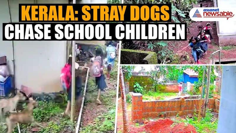 Kerala: Stray dogs chase school children in Malappuram; CCTV visuals out (WATCH) anr