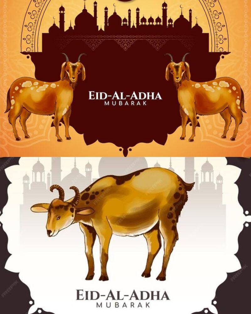 Eid ul-Adha 2024: Wishes to share with your loved ones RKK