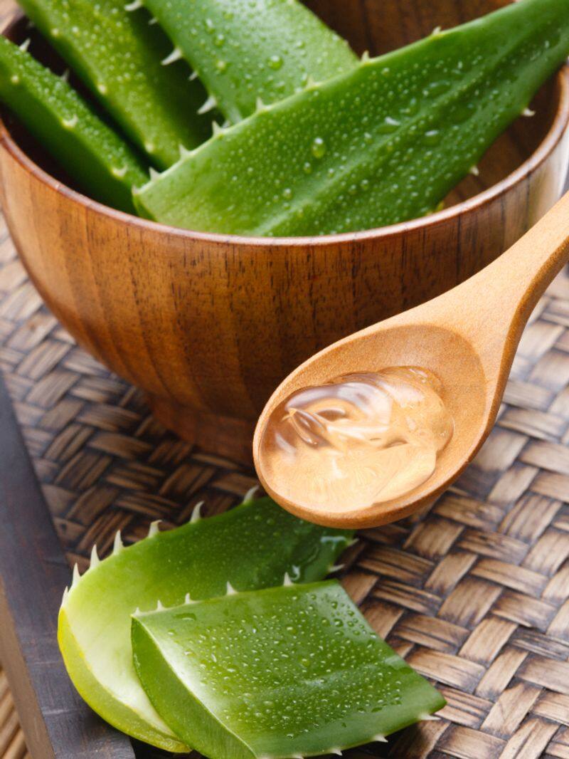 aloe vera gel for hair care