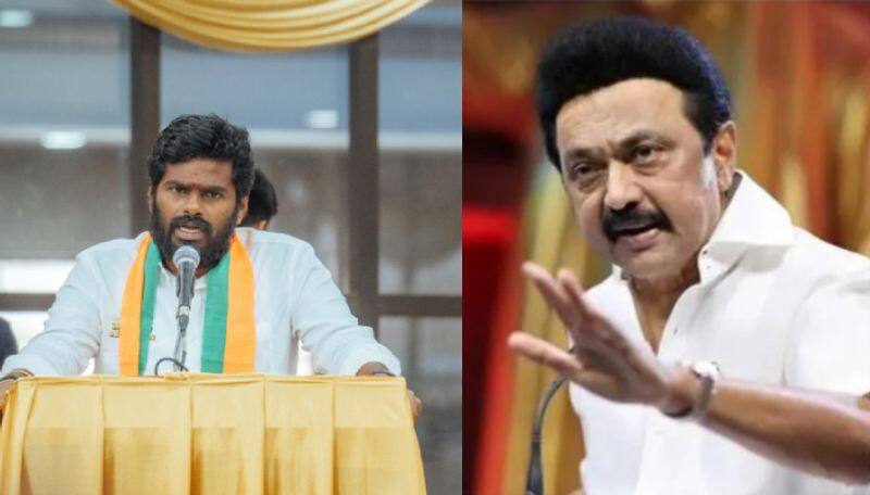 bjp state president annamalai replies to cm mk stalin vel