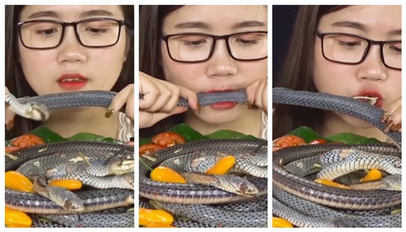 Video of South Korean woman enjoying and eating snake goes viral