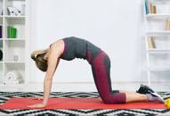 International Day of Yoga 2024: This one yoga asana can help relieve back pain Marjariasana Cat and Cow Pose iwh