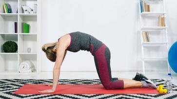 International Day of Yoga 2024: This one yoga asana can help relieve back pain Marjariasana Cat and Cow Pose iwh