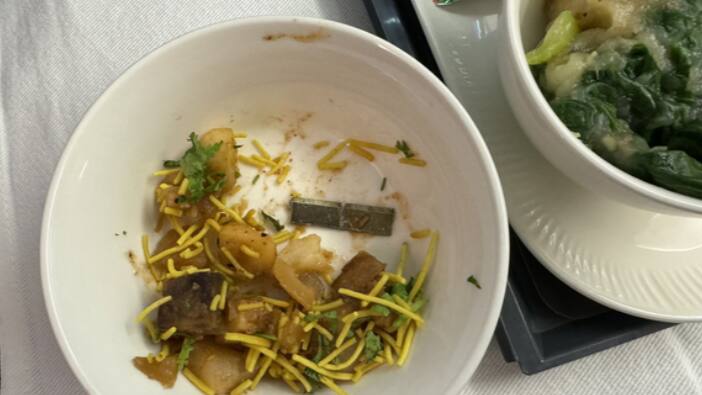 Air India Flight Metal Blade in food