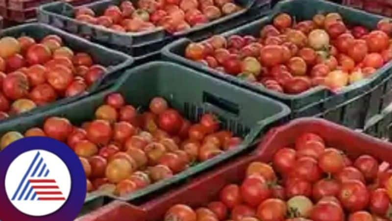 Thieves stole tomato box at night in chintamani chikkaballapur district rav