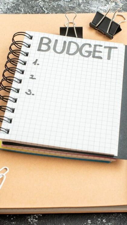 Budget 2024: नौकरीपेशा के लिए खुलेगा पिटारा! टैक्स में मिल सकती है छूट