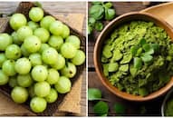 From Amla to Moringa: Try These Desi Alternatives to Videsi Superfoods RTM 