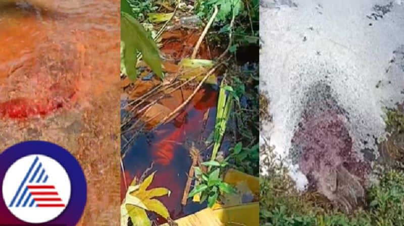 water mixed with blood flowed into the Kokti kere bhatkal uttara kannada district rav