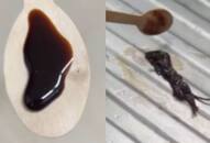  Family Discovers Dead Mouse in Sealed Hersey's Chocolate syrup; Company Issue Apology NTI