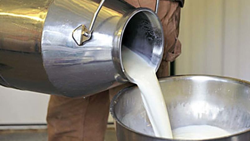 Hatsun Arokya Milk Price reduced tvk