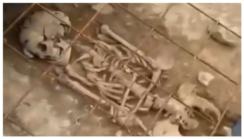 Controversy erupts in Ireland after reels using childs skeleton from Archaeological Site