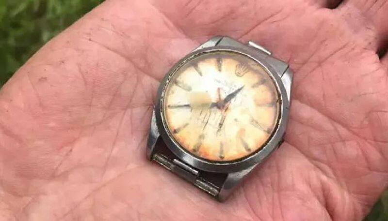 after fifty years rolex watch eaten by cow found 