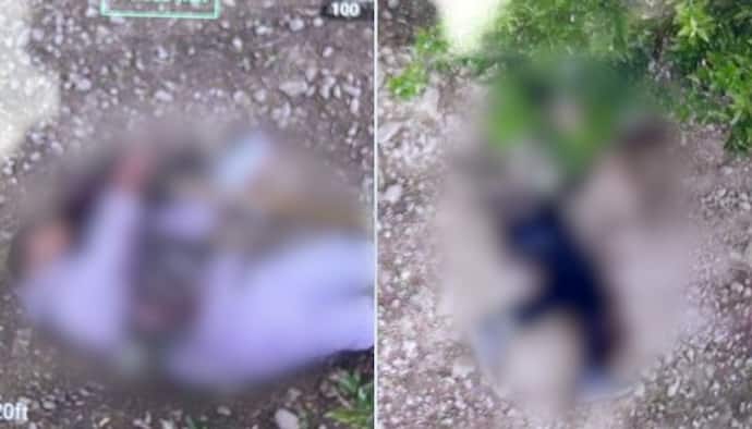 Kashmir: Two Pakistani terrorists killed in Sopore encounter; photos of their bodies go viral