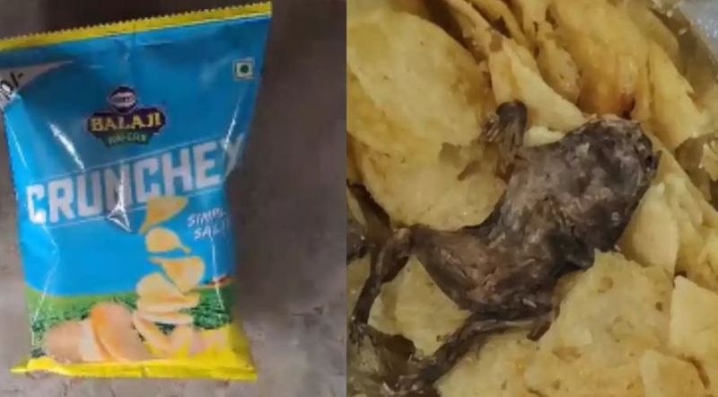 dead frog was found in a packet of chips