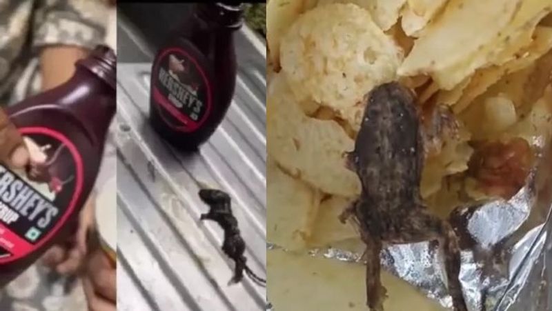 Horrific food woman found dead rat in chocolate syrup and in another incident woman found fried frog in chips packet akb