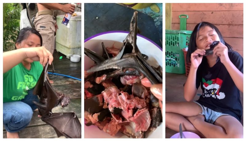 Social media criticized the viral video of a housewife making and enjoying Bat Soup