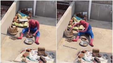 [WATCH] "Spider-Man: No Food At Home": Spiderman making rotis on Jaipur rooftop leaves internet in splits RTM 