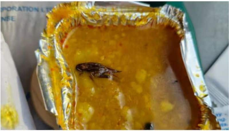 vande bharat passengers get cockroach in food Railways response after 2 days