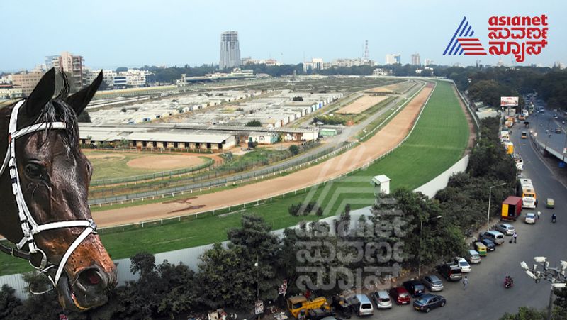 Karnataka High Court conditional permits to conduct horse racing in Bangalore Turf Club gow