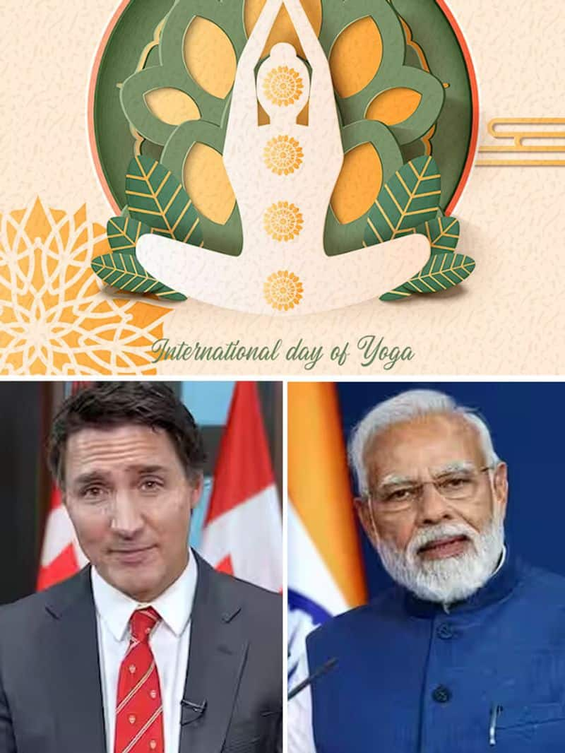 PM Modi to Justin Trudeau yoga day 2024 A look at world leaders who practice it gcw