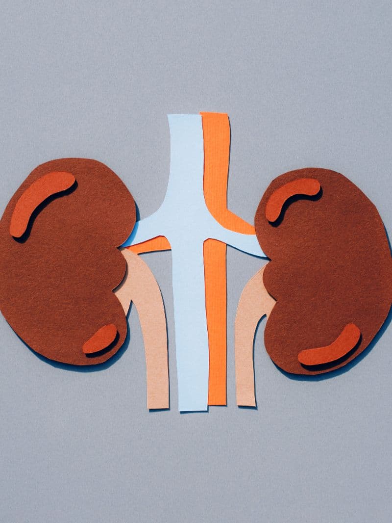 6 common habits that can harm your Kidneys and affect your health vkp