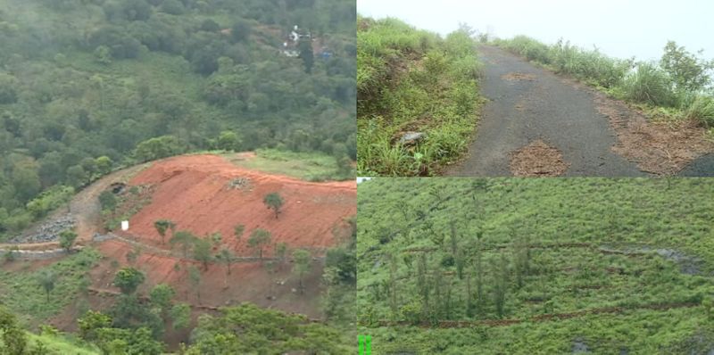 report will be filed on land encroachments in Parunthumpara within one month