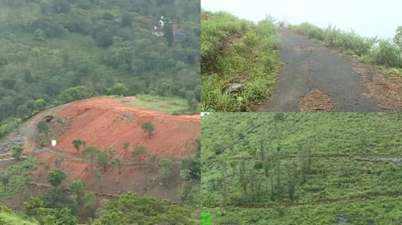 report will be filed on land encroachments in Parunthumpara within one month