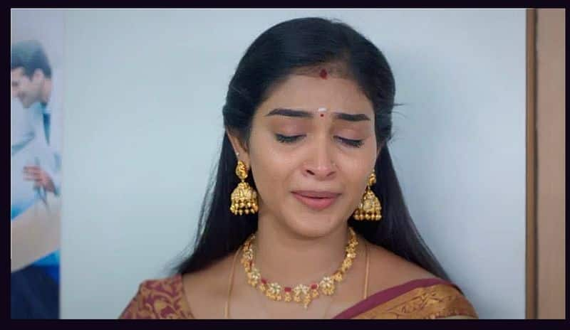 Karthigai deepam serial june 21 today episode gan