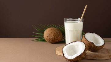 Creamy Coconut Milkshake Recipe: A Taste of Tropical Bliss NTI